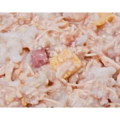 Feline Porta 21 Cat Kitten Chicken with Rice