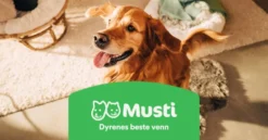 Ferplast Azimut vann-og fôrautomat