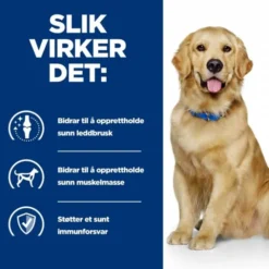 Hill's Prescription Diet Canine j/d Mobility Chicken
