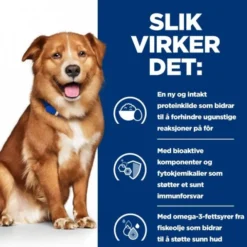 Hill's Prescription Diet Canine Derm Complete Skin Care & Food Sensitivities
