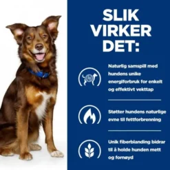 Hill's Prescription Diet Canine Metabolic Weight Loss & Maintenace Chicken