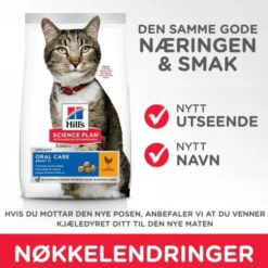 Hill's Science Plan Cat Adult Oral Care Chicken