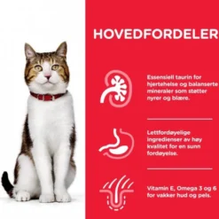 Hill's Science Plan Cat Mature 7+ Chicken