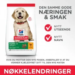 Hill's Science Plan Dog Puppy Large Breed