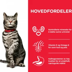 Hills Science Plan Feline Urinary Sterilised