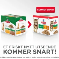Hill's Science Plan Kitten Chicken & Ocean Fish 12x85 g