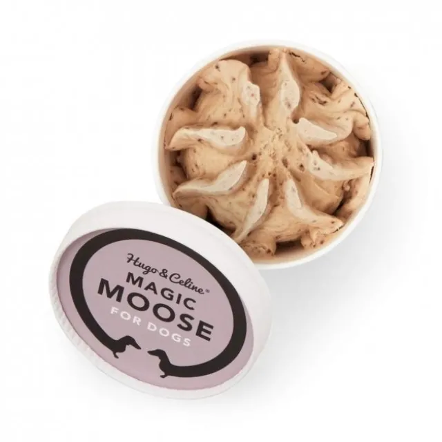 Hugo & Celine Magic Moose Hundeis
