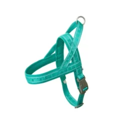 Hurtta Casual ECO sele peacock
