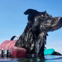 Hurtta Life Savior ECO Flytevest for Hund Lilla