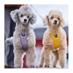 Hurtta Seeker harness lavender