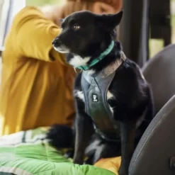 Hurtta Travel Harness ECO Bilsele, Svart