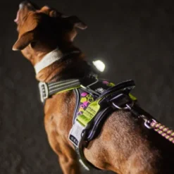 Hurtta Weekend Warrior Hundesele, Neon & Sort