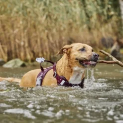 Hurtta Weekend Warrior II ECO Hundesele Lilla