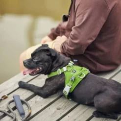 Hurtta Weekend Warrior II ECO Hundesele Grønn