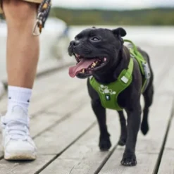 Hurtta Weekend Warrior II ECO Hundesele Grønn