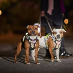 Hurtta Weekend Warrior Neon II Hundesele Svart