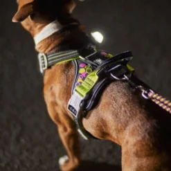 Hurtta Weekend Warrior Neon II Hundesele Svart