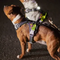 Hurtta Weekend Warrior Neon II Hundesele Svart