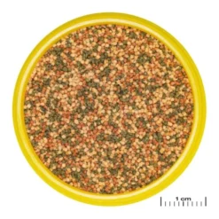 JBL Pronovo Bel Grano S Click Fiskefôr til akvariefisk 100 ml