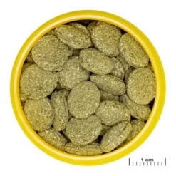 JBL Pronovo Pleco Wafer M Fiskefôr