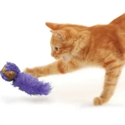 KONG Cat Active Korkball