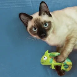 KONG Cat Refillables Chameleon