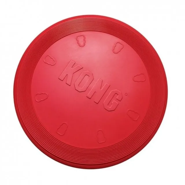 KONG flyer frisbee
