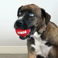 KONG Signature Baller S 3-pk