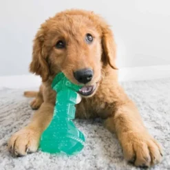 KONG Squeez Dental stick M