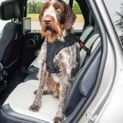 KONG Ultimate bilbelte til hund