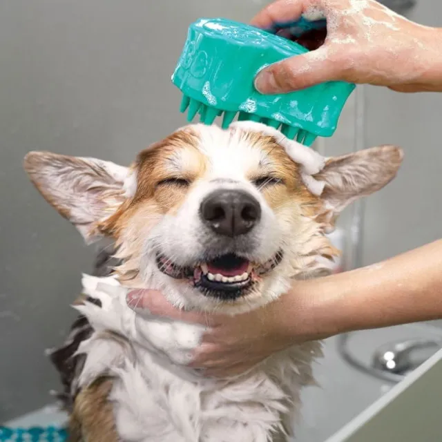 KONG ZoomGroom® Bubbles L