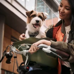 Kvisp Sykkelkurv til Hund med Sele Grå
