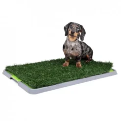 Little&Bigger Indoor Potty Patch