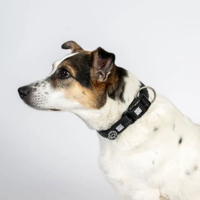 Max&Molly Smart ID Matrix 2.0 Halsbånd Black