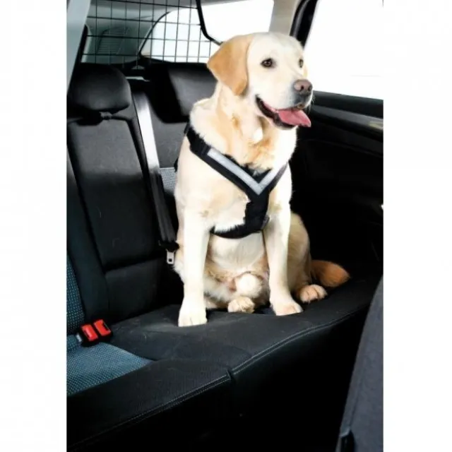 MIM Allsafe safety sele