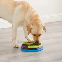 Nina Ottosson Lickin' Layers Slow Feeder Puzzle