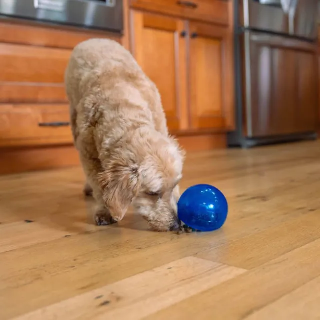 Nina Ottosson Outward Hound Lil Snoop blue