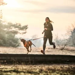 Non-stop Dogwear Canix 2.0 Hundeførerbelte Sort