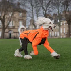 Non-stop Dogwear Fjord Hundeoverall Oransje