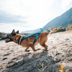 Non Stop Dogwear Freemotion Trekksele 5.0, turkis