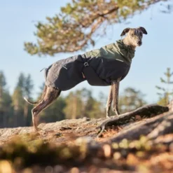 Non-Stop Dogwear Glacier Wool 2.0 Vinterdekken