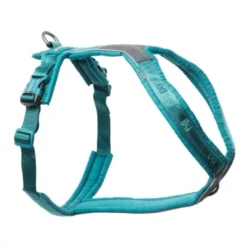 Non Stop Dogwear Line Hundesele 5.0, turkis