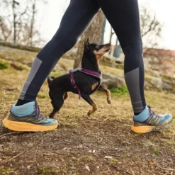 Non-Stop Dogwear Line Hundesele 5.0 Lila