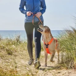Non-Stop Dogwear Line Hundesele 5.0 Oransje