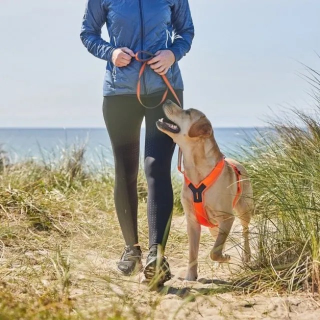 Non-Stop Dogwear Line Hundesele 5.0 Oransje