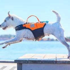 Non-Stop Dogwear Protector Redningsvest til hund, Oransje & Svart