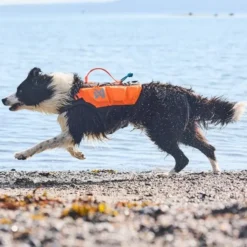Non-Stop Dogwear Protector Redningsvest til hund, Oransje & Svart