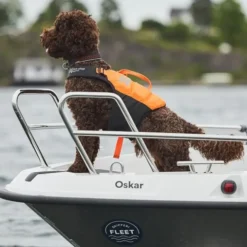 Non-Stop Dogwear Protector Redningsvest til hund, Oransje & Svart