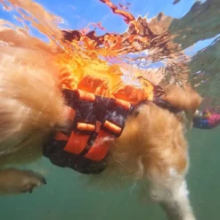 Non-Stop Dogwear Protector Redningsvest til hund, Oransje & Svart