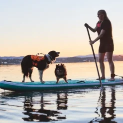 Non-Stop Dogwear Protector Redningsvest til hund, Oransje & Svart